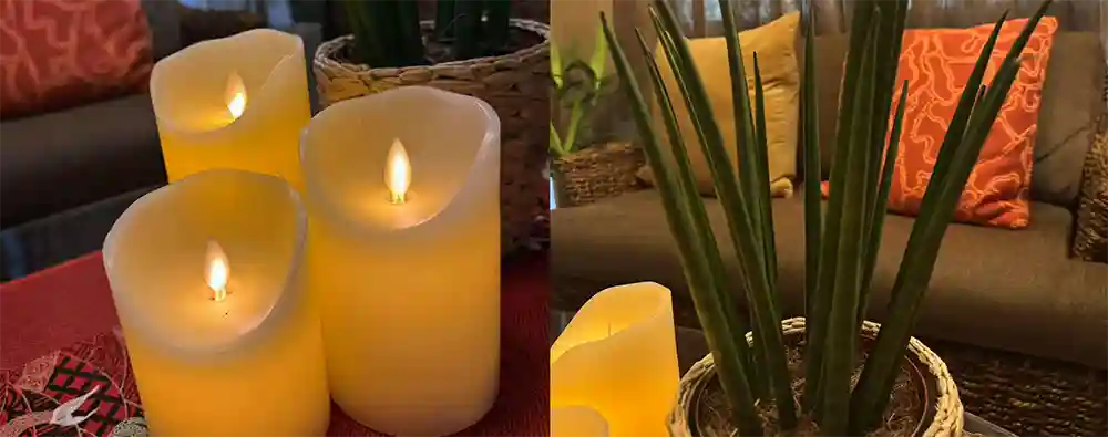 RAJA受付キャンドルと観葉植物